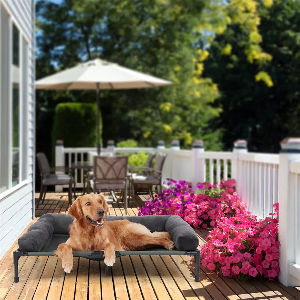 BINGOPAW Elevated Cooling Dog Bed with Detachable Plush Bolster - Ingrid Just Unique